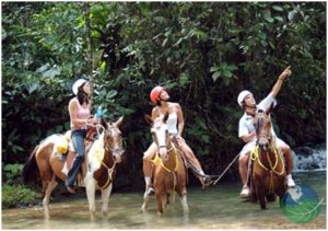 River crossing Horse Back riding tours in Manuel Antonio