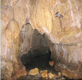 Tamarindo caving while in Costa Rica