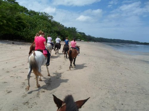 Tamarindo horse back riding along the beach