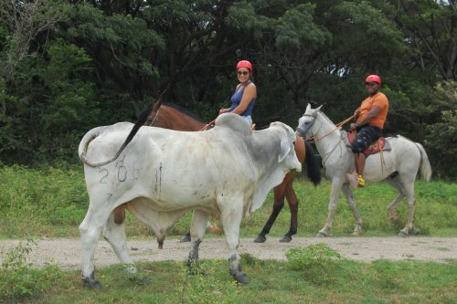 Horse back riding through the hills of Tamarindo Costa Rica