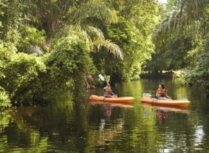 Tortuguero National Park kayak tour through the canals