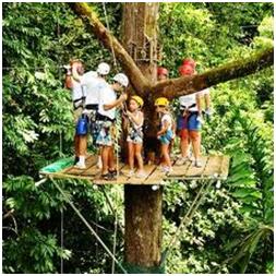 Zipling through Manuel Antonio rainforest adventure tour