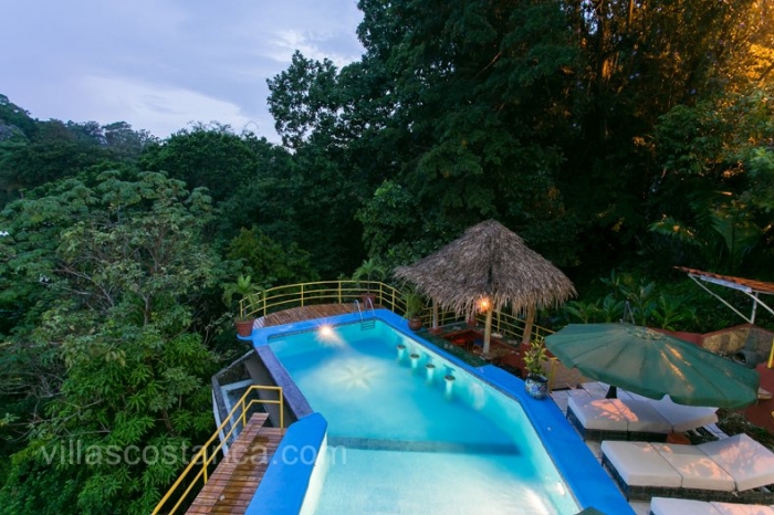 Gorgeous views from the private pool surrounded by rainforest.