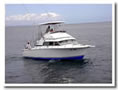 Dream Chaser Charter Sportishing Fleet Quepos Costa Rica