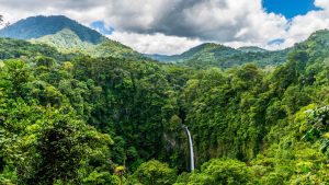 Costa Rica eco initiative